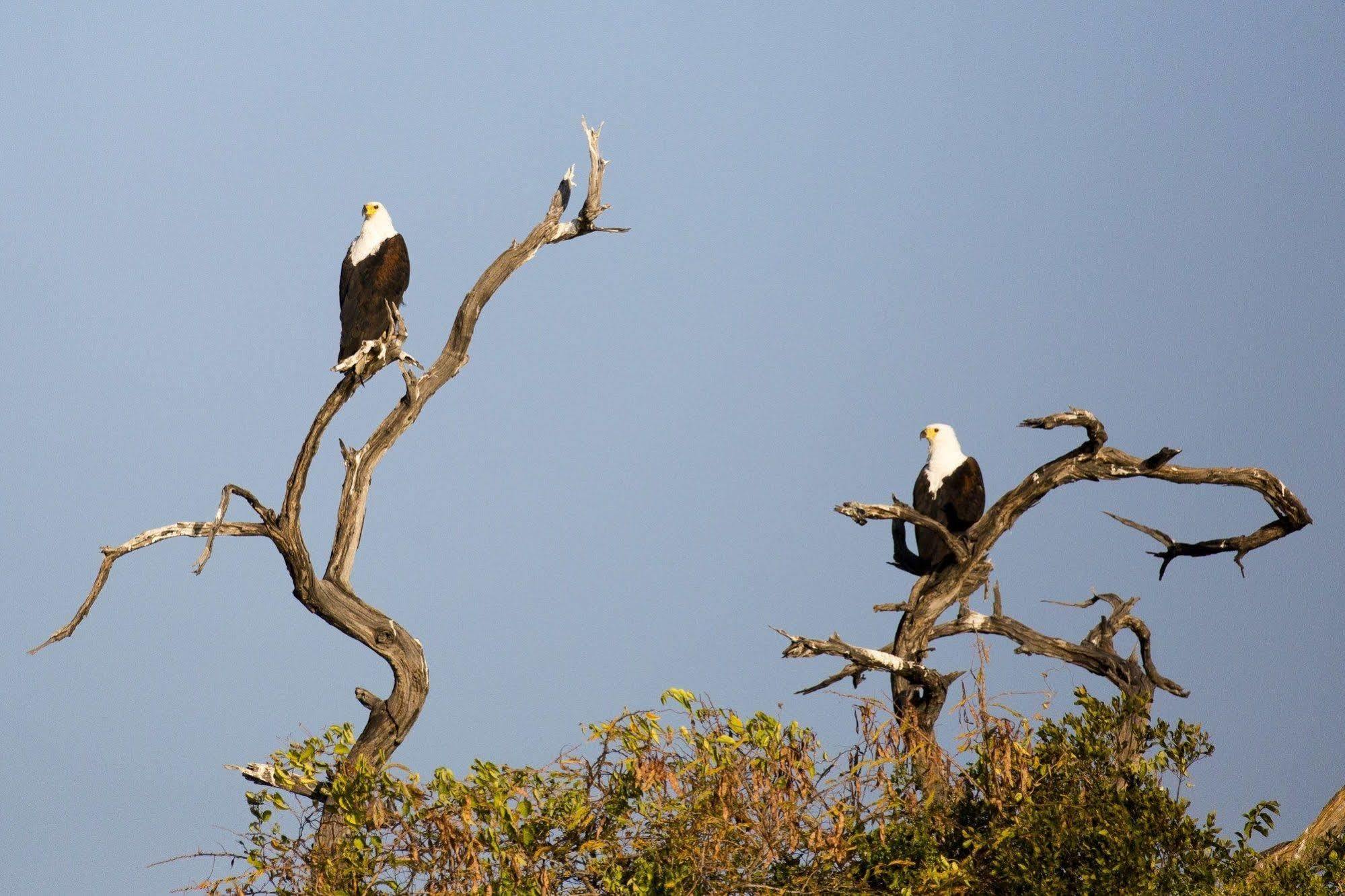 Gondwana Hakusembe River Lodge Rundu Buitenkant foto